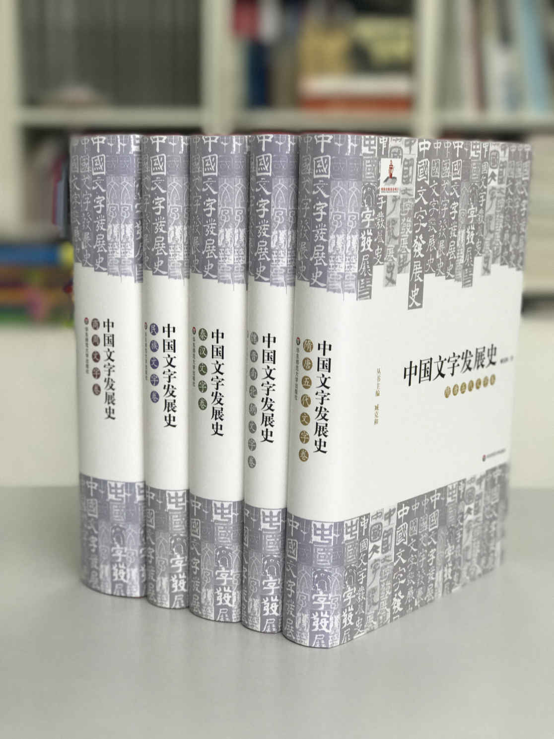 中国文字发展史（套装共5册）
